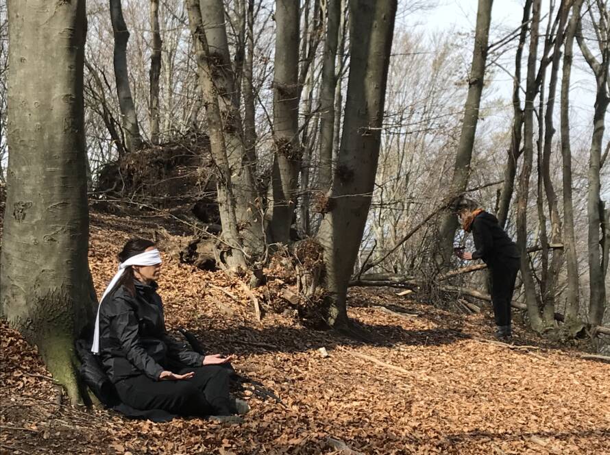 Esperienza in natura con le rune, di Barbara Botticchio