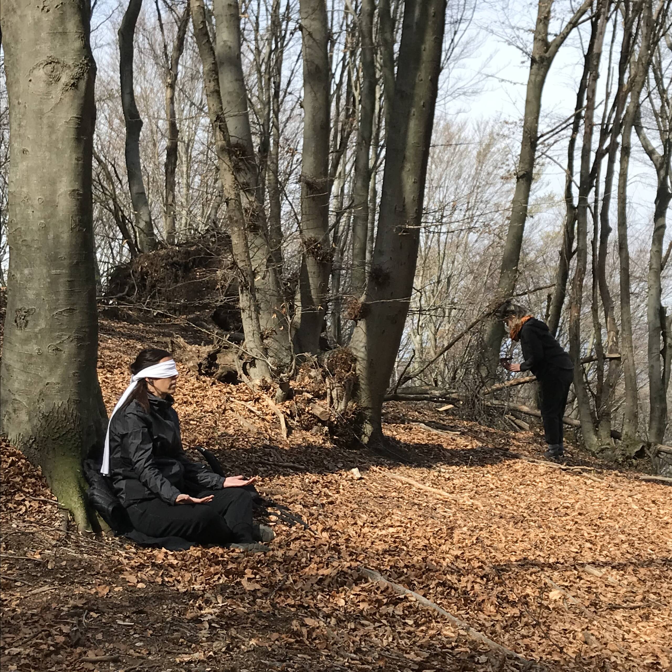 Esperienza in natura con le rune, di Barbara Botticchio