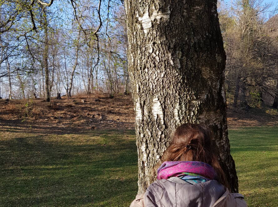 Attività di connessione con l'albero durante un Bagno di Bosco