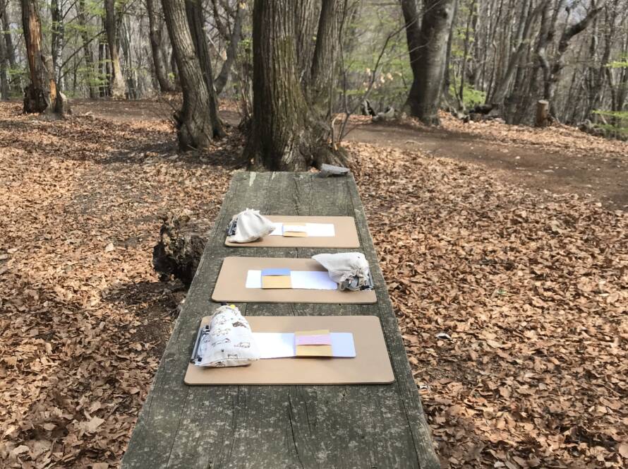 Attività durante Bagno di Bosco Friendship