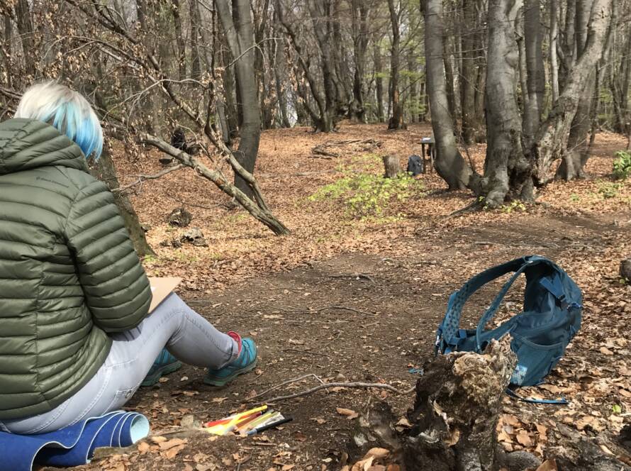 Momento di raccogliemento durante un Bagno di Bosco