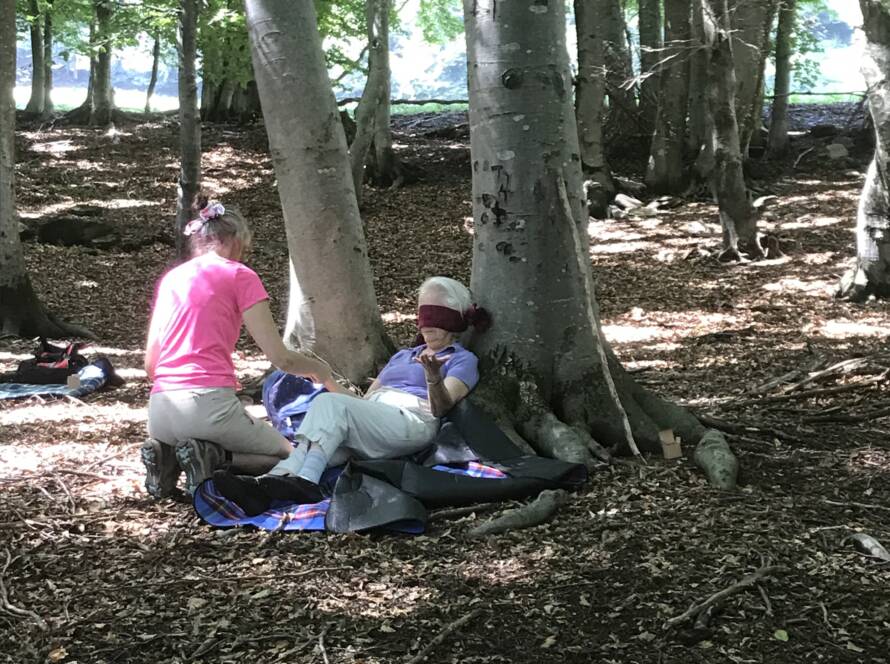 Momenti di un Bagno di Bosco, Ronco sopra Ascona