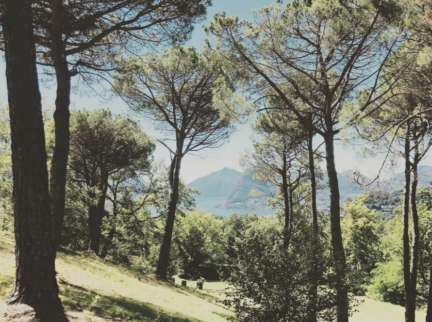 Contemplazione durante un Bagno di Bosco, Comano