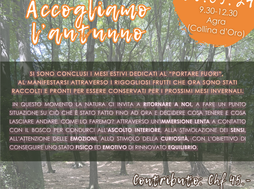 Forest Bathing Accogliamo l'autunno, con Barbara Botticchio