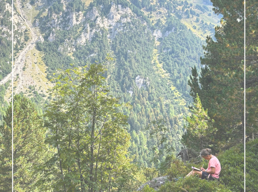 Momenti di un Bagno di Bosco