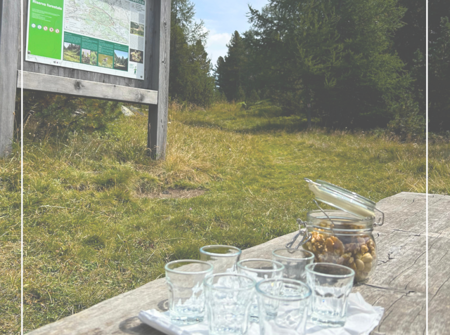 Momenti conclusivi di un Bagno di Bosco